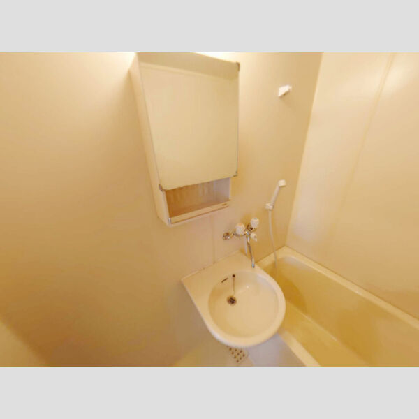 洗面所 (洗面台)