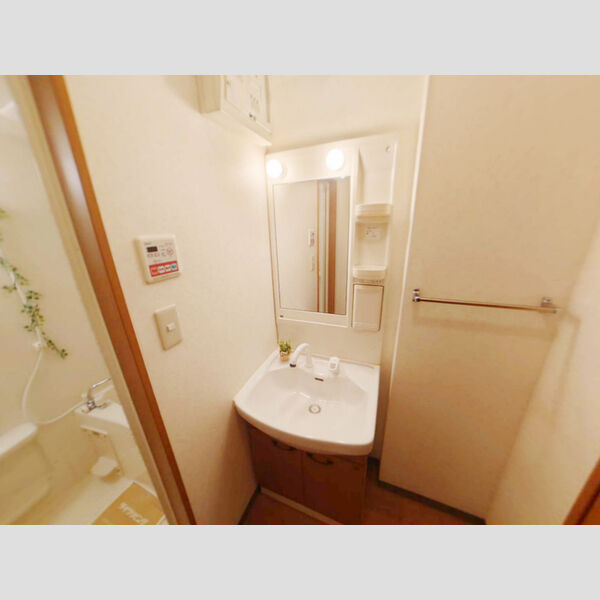 洗面所 (洗髪洗面化粧台)