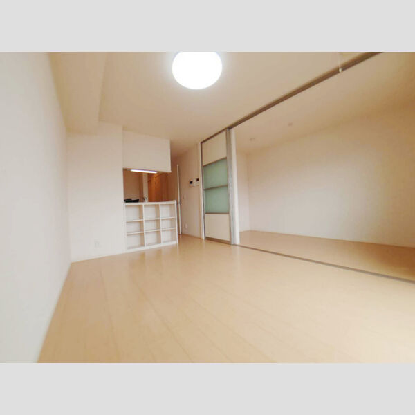 居室・リビング (LDK)