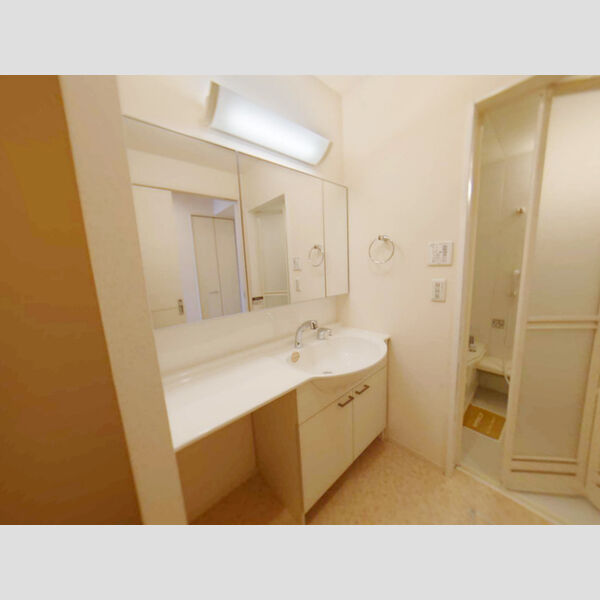 洗面所 (洗髪洗面化粧台)