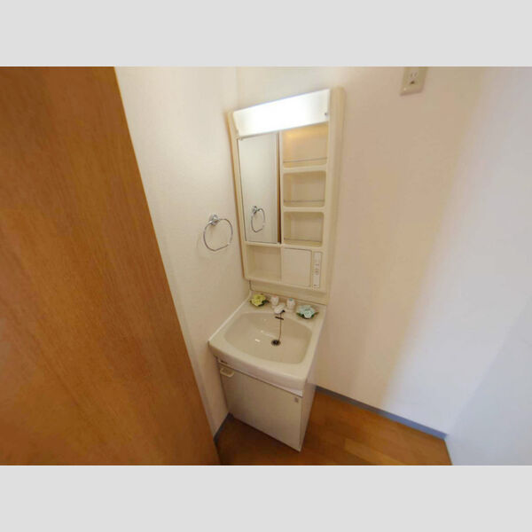 洗面所 (洗髪洗面化粧台)