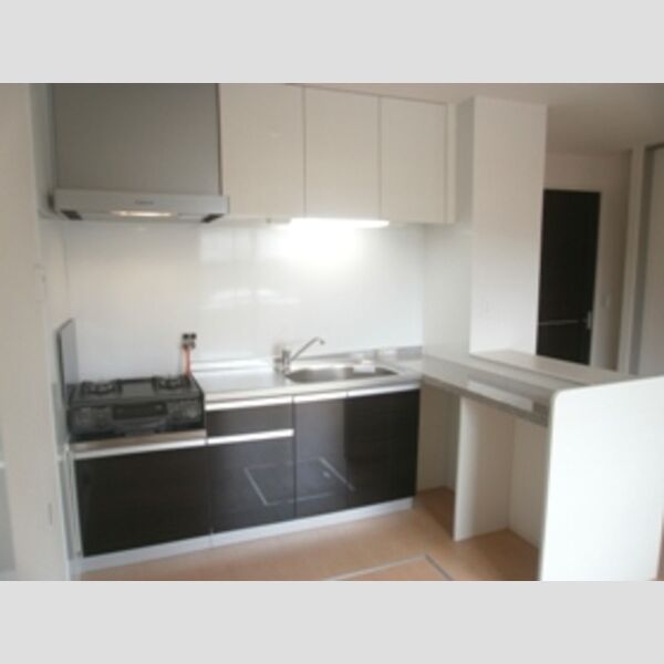 キッチン (2口コンロ付のキッチンには、お洒落なサイドカウンター付です☆)