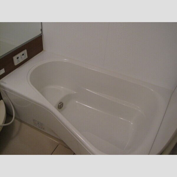 バス