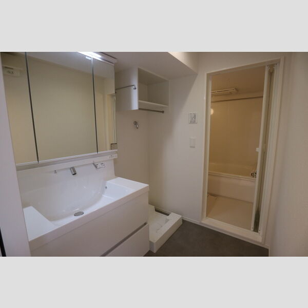 洗面所 (洗面所)