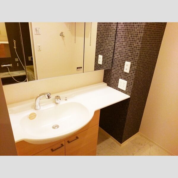 洗面所 (洗髪洗面化粧台)