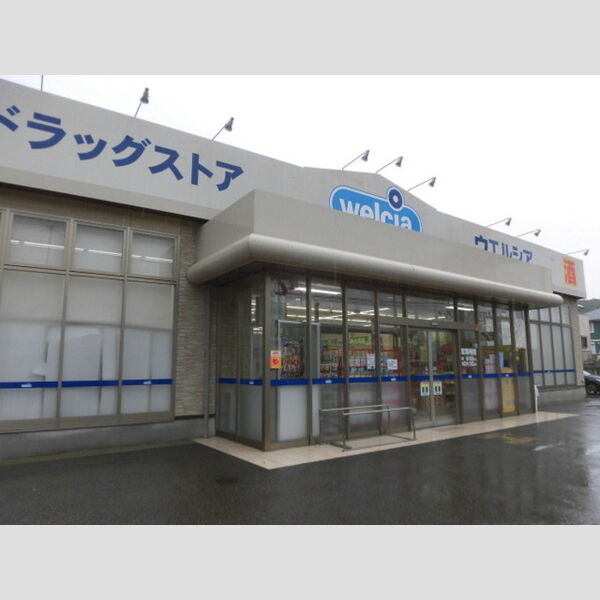現地周辺 (ウエルシア神戸北八多店(216m))