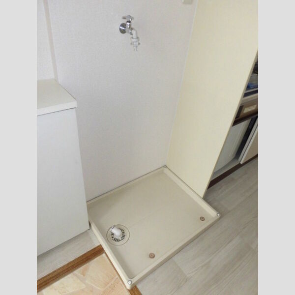 その他 (室内洗濯機置場)