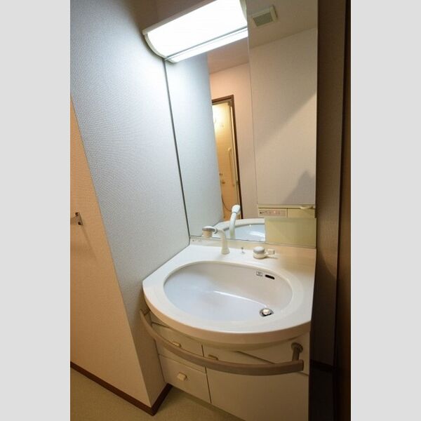 洗面所 (洗髪洗面化粧台)