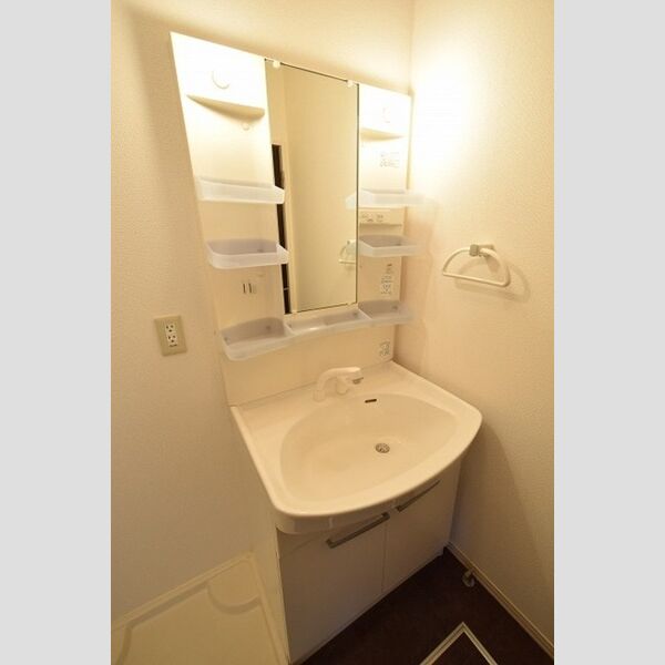 洗面所 (洗髪洗面化粧台)
