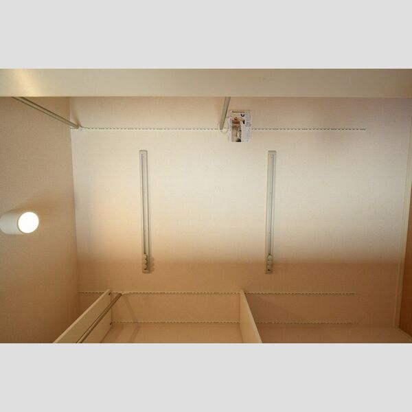 収納 (ワンステップクローゼット)