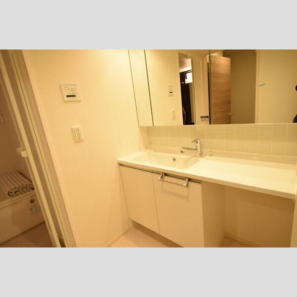 洗面所 (洗髪洗面化粧台)