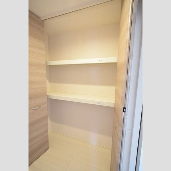 収納 (廊下内収納)