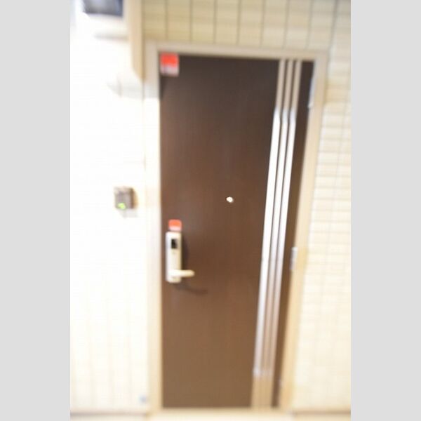 玄関 (玄関ドア)