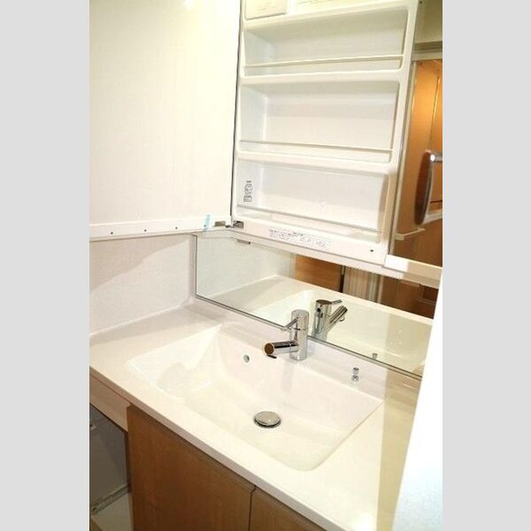 洗面所 (洗髪洗面化粧台)