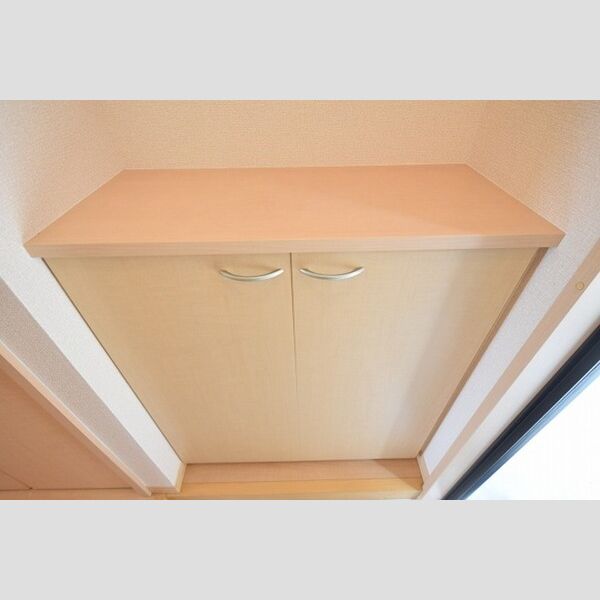 収納 (シューズボックス)