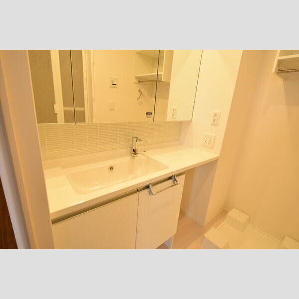 洗面所 (洗髪洗面化粧台)