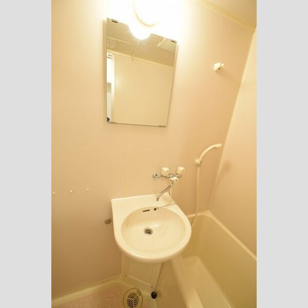 洗面所 (洗面台)