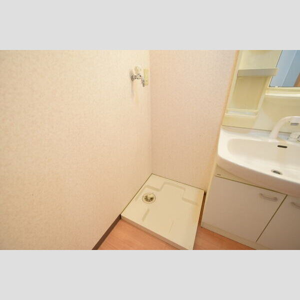 その他 (室内洗濯機置場)