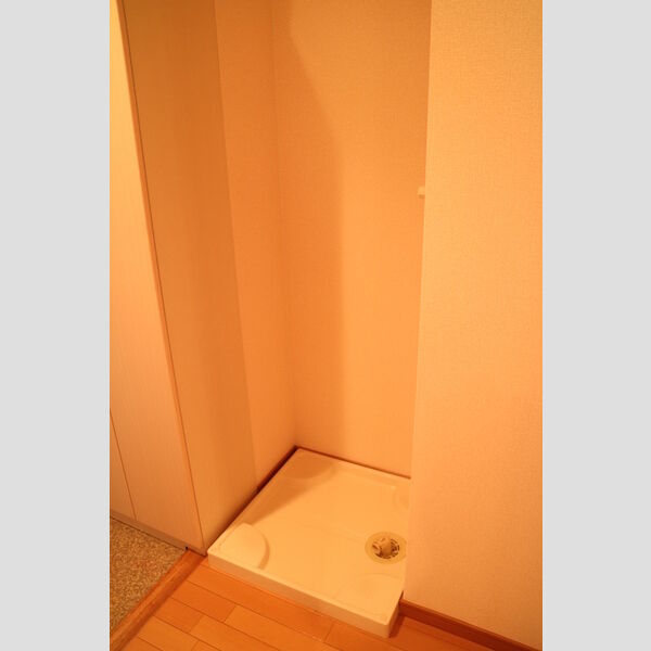 その他 (洗濯機スペース)