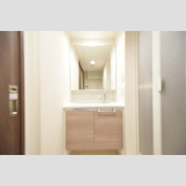 洗面所 (洗髪洗面化粧台)