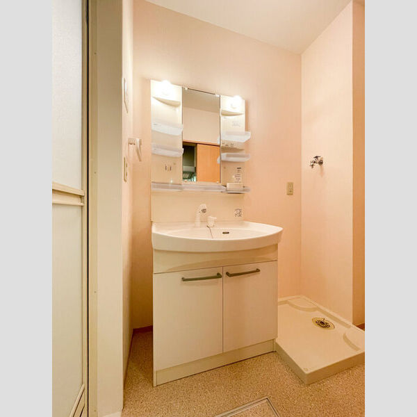 洗面所 (洗髪洗面化粧台)