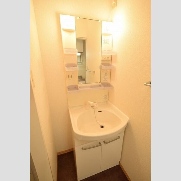 洗面所 (洗髪洗面化粧台)