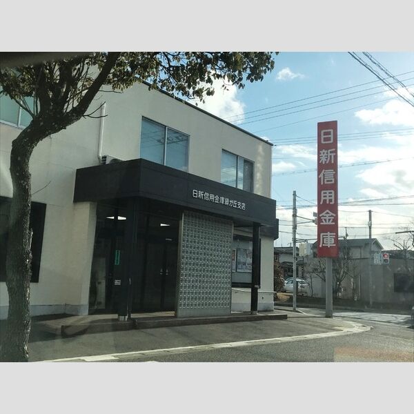現地周辺 (日新信用金庫緑が丘支店(約977m))