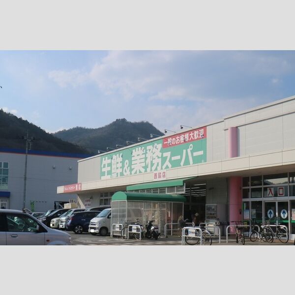 現地周辺 (業務スーパー西脇店(286m))