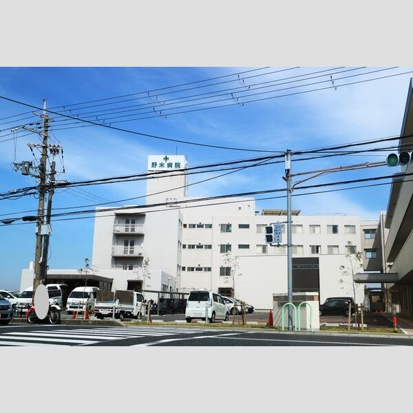 現地周辺 (医療法人社団佳生会野木病院(617m))