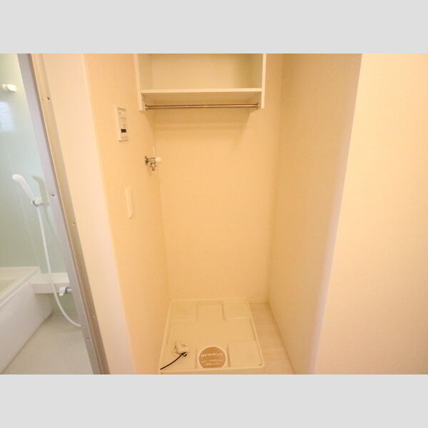 その他 (室内洗濯機置場)