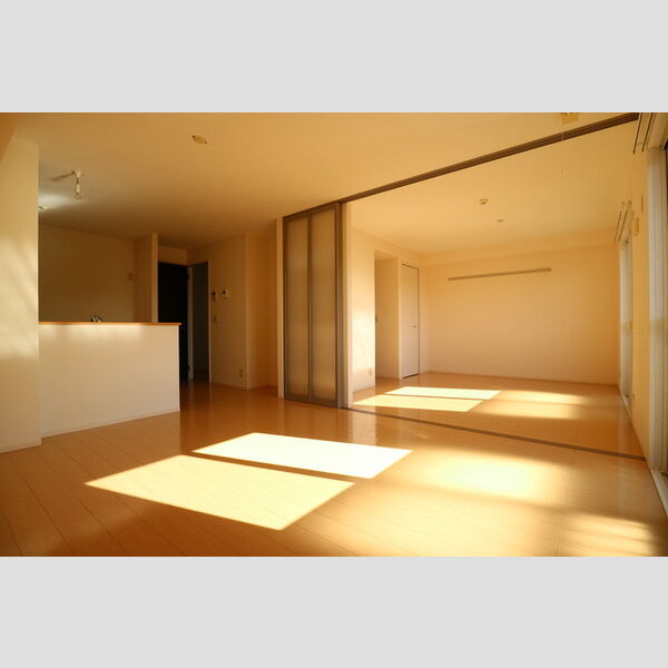 居室・リビング (LDK)