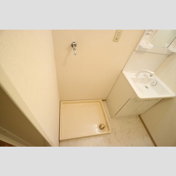 その他 (室内洗濯機置場)