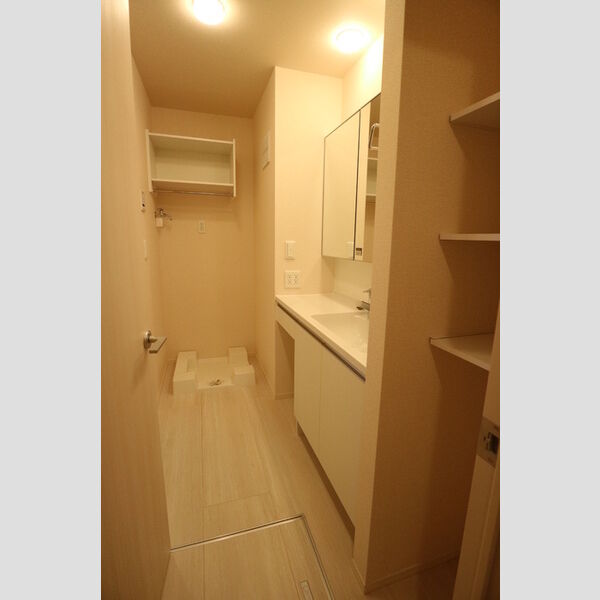 その他 (洗面室)