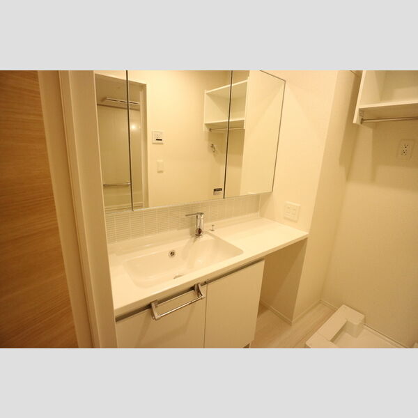 洗面所 (洗髪洗面化粧台)