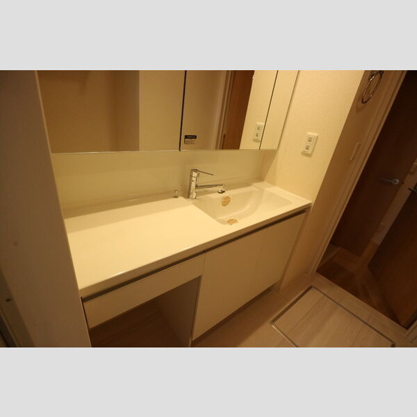 洗面所 (洗髪洗面化粧台)