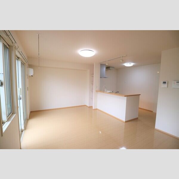 居室・リビング (LDK)