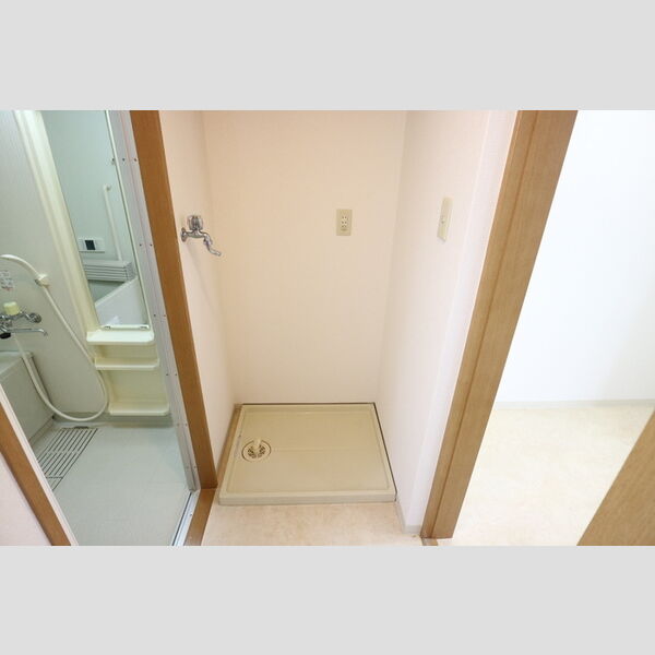 その他 (室内洗濯機置場)