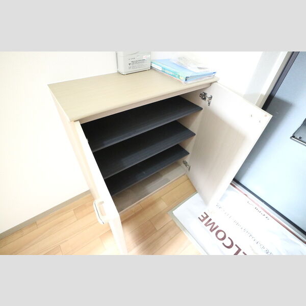 その他 (シューズボックス)