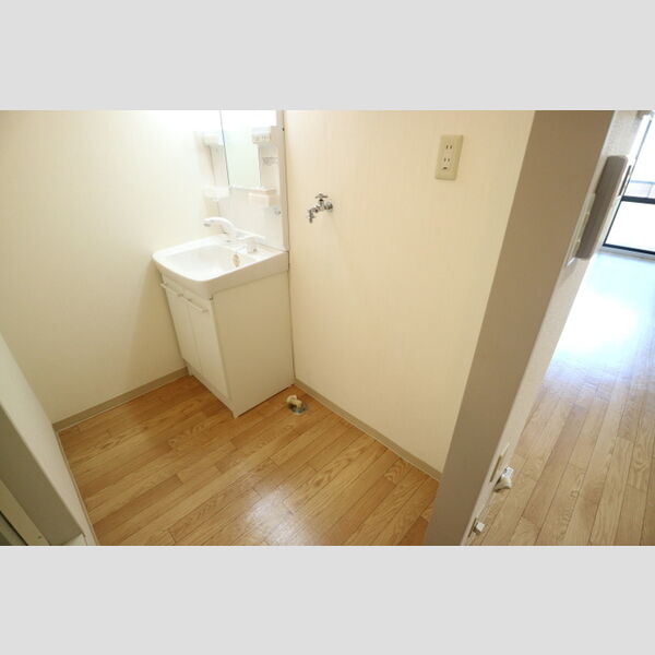 その他 (室内洗濯機置場)