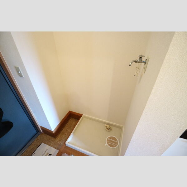 その他 (室内洗濯機置場)