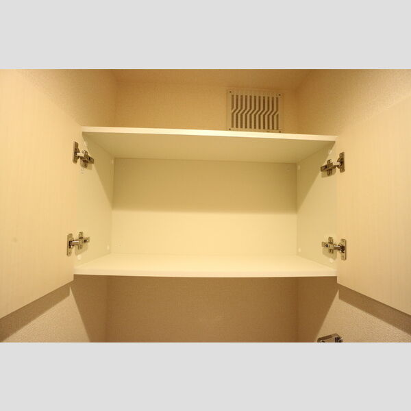 収納 (トイレ収納)