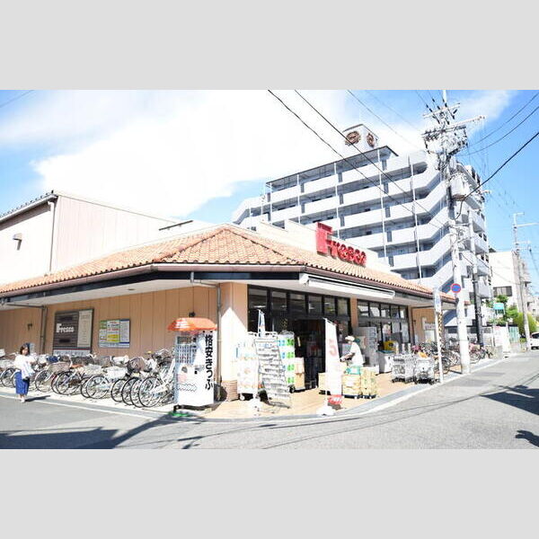 現地周辺 (フレスコ武庫之荘店(393m))