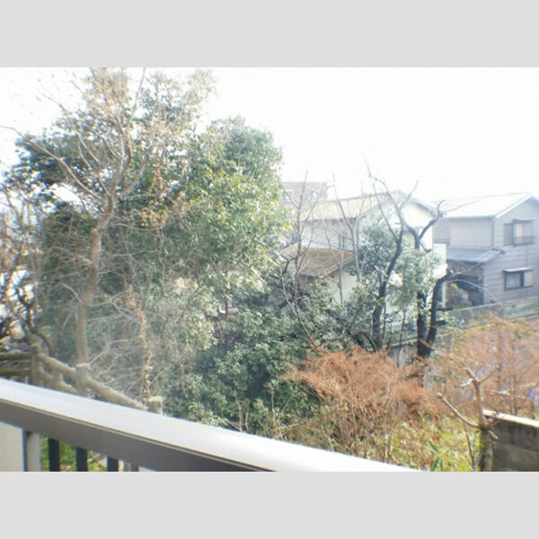 現地周辺 (眺望)