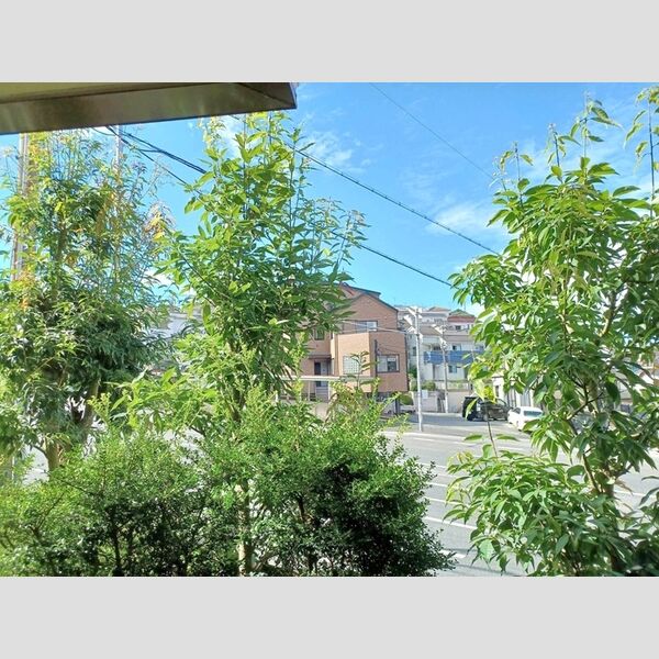 現地周辺 (眺望)