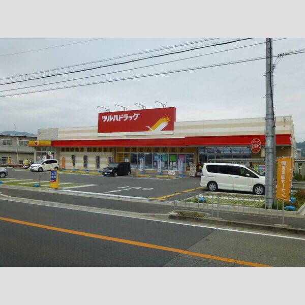 現地周辺 (ツルハドラッグ 南花屋敷店(650m))