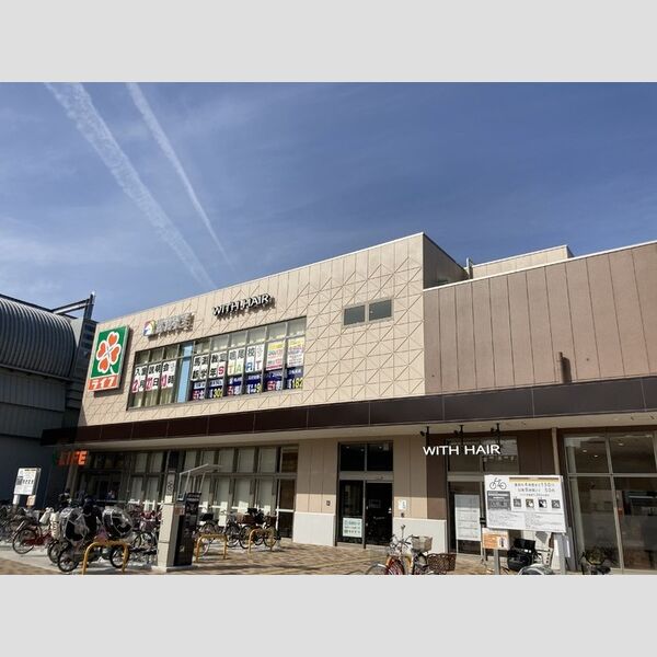 現地周辺 (LIFE)