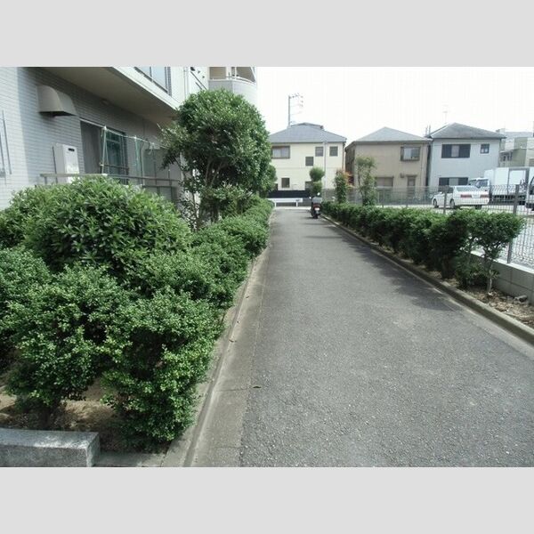 現地周辺 (建物前通路)