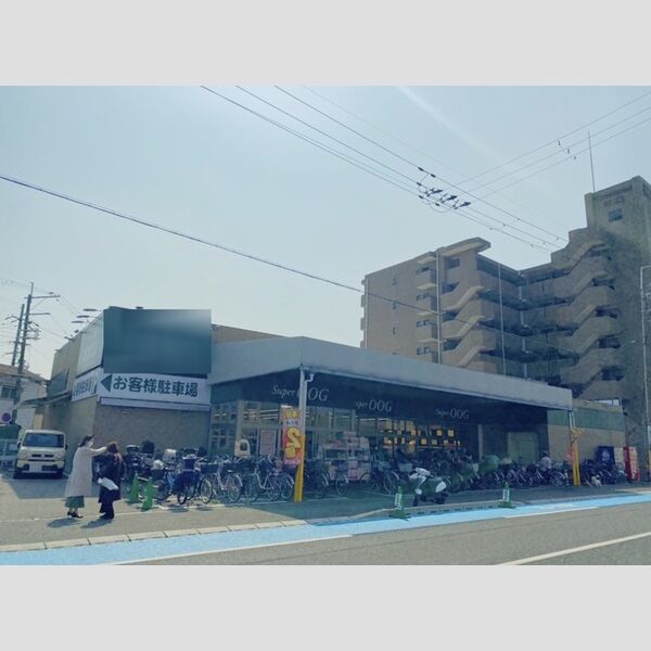 現地周辺 (スーパーオオジ)