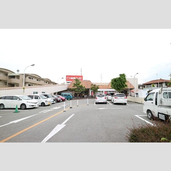 現地周辺 (関西スーパー稲野店　徒歩6分(450メートル))