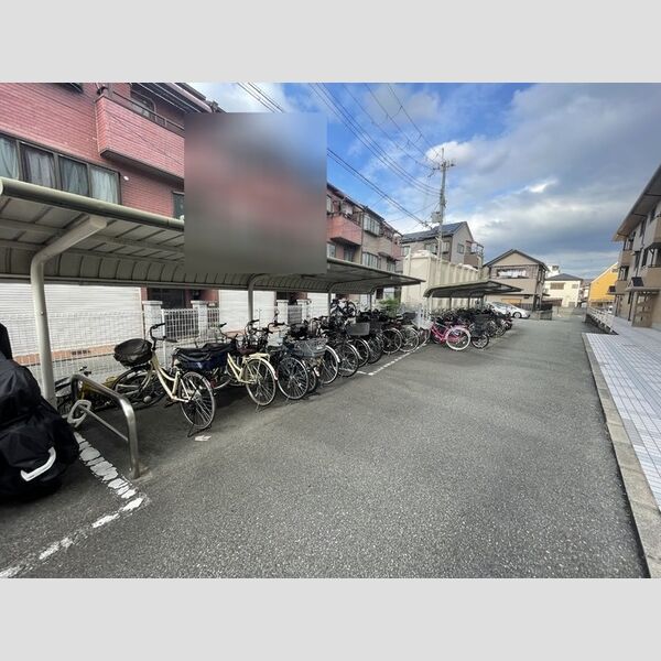 現地周辺 (駐輪場)